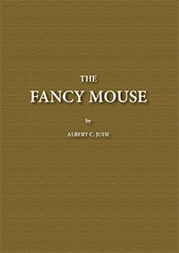 The Fancy Mouse
