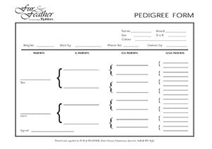 STANDARD PEDIGREE FORMS