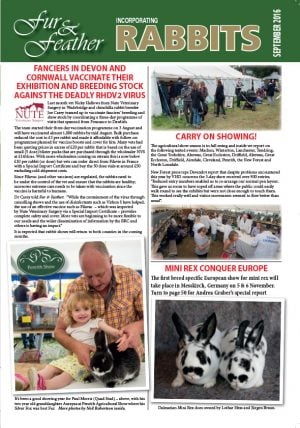 Fur and Feather December 2016
