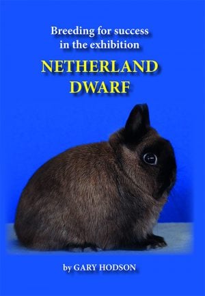 Breeding for success in the exhibition NETHERLAND DWARF by Gary Hodson