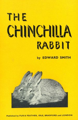 The Chinchilla Rabbit